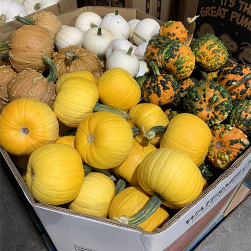 Locally grown, farm fresh produce including apples, green beans, brussel sprouts, tomatoes, sweet corn and more at Tom Strain and Sons in Toledo, Ohio!